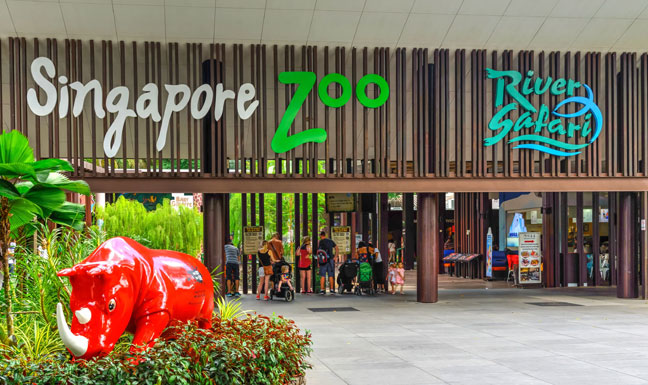 book-singapore-zoo-safari